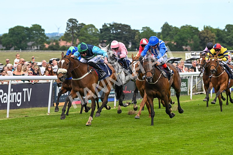 280525-Race 4-Princess Niyla-5223 - Race 4