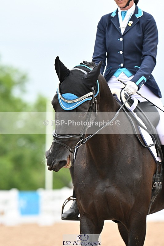 240623A-140204-18916 - Cls 51 BD Elementary 53