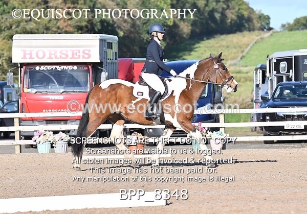 BPP_8348 - SHORT ARENA INTRO 1