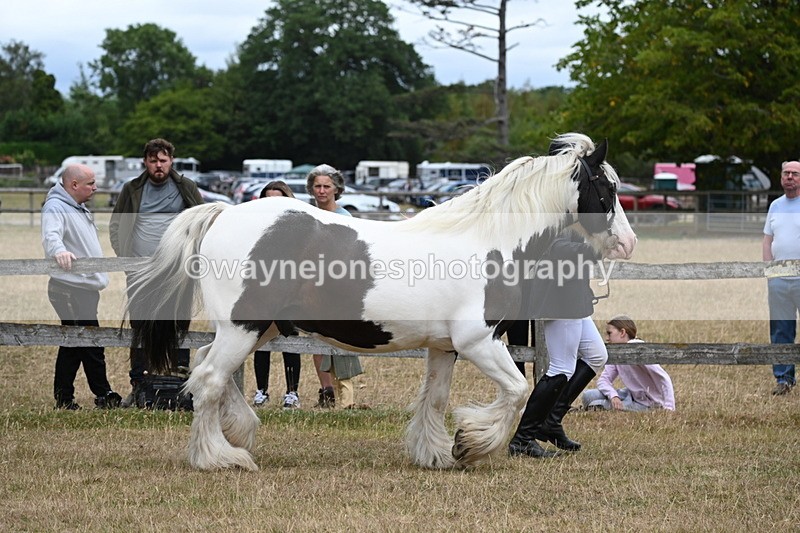 WJ6_8356 - Class 10 Coloured in Hand