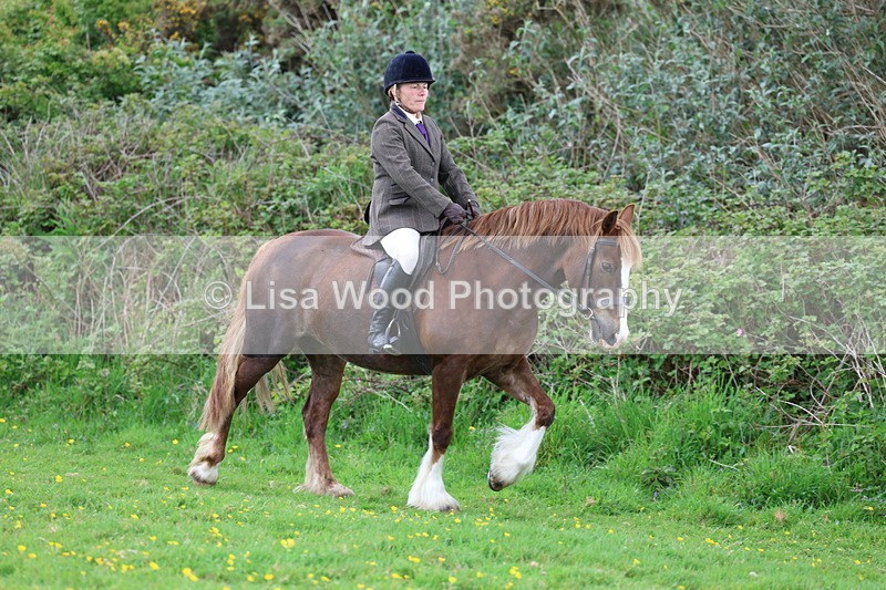 3E7A0617 - Class 5: Ridden M & M Senior