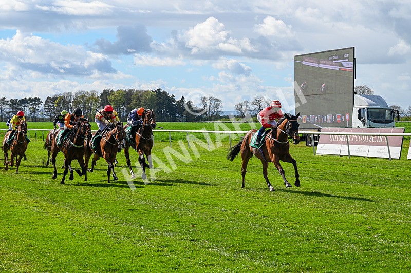 180426-Race 4-Murashah-2395 - Race 4