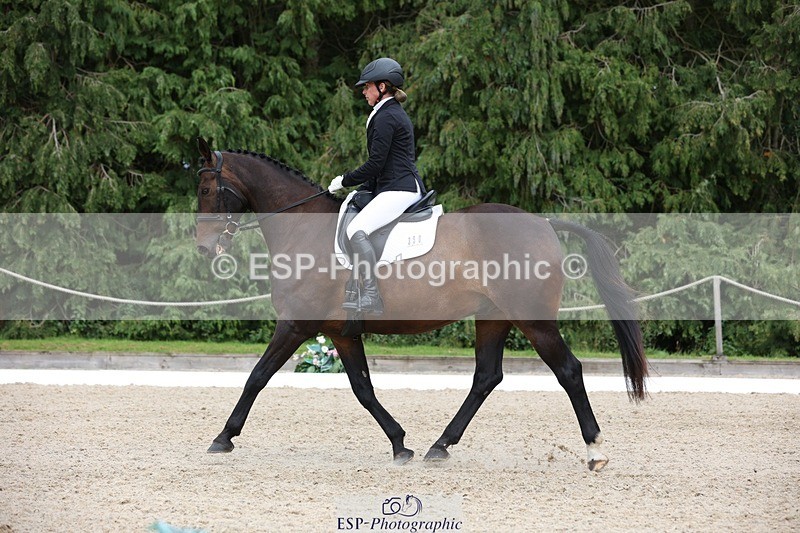 230812-153135-05153 - Cls 5 Novice Bronze 15.00 to End