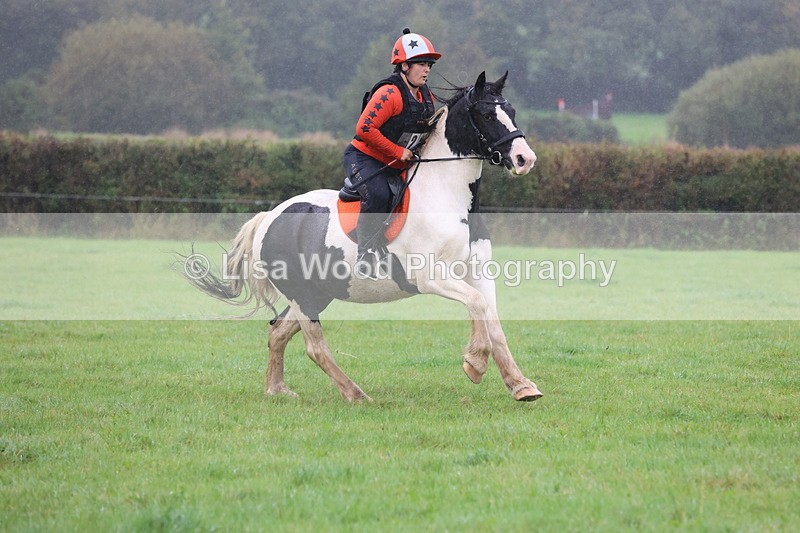 JPP_5135 - Class 1: 65cm : Showjumping