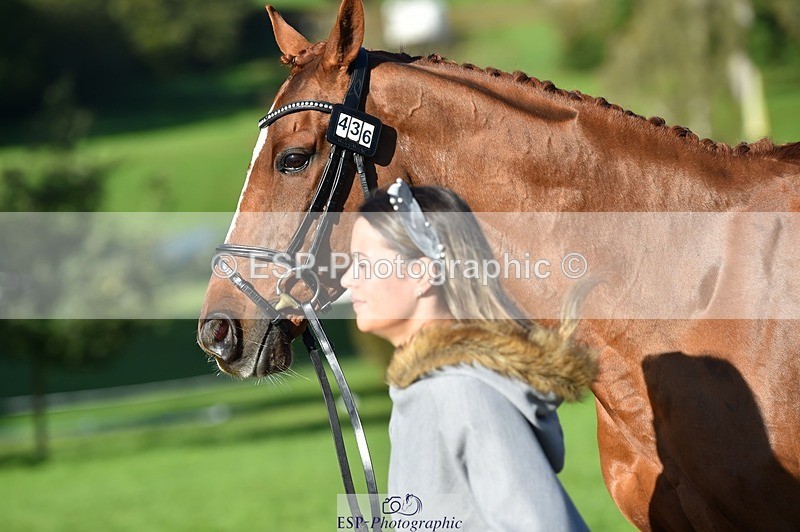 231022-110628-23729 - 436-MASSACHUSETTS-Georgia.Henderson-TrotUp+SJ