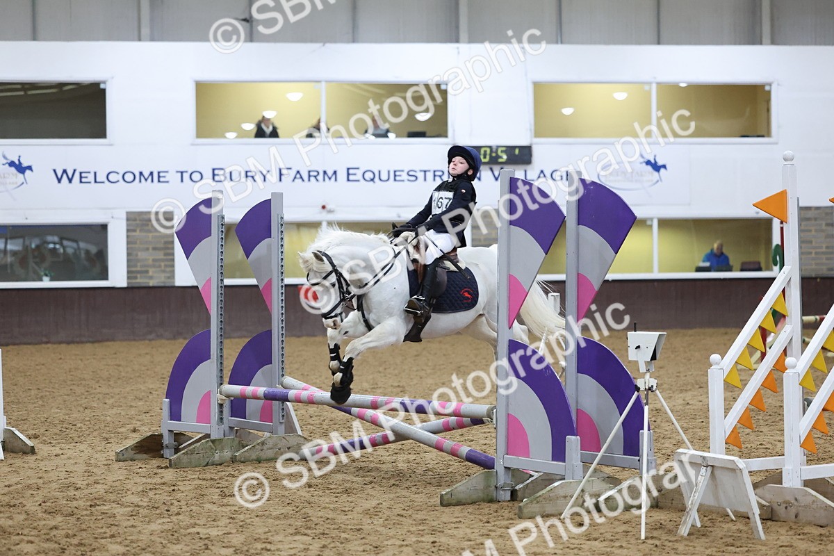 SBM_001008 - Class 3 - Christmas Tree Stakes - 60cm