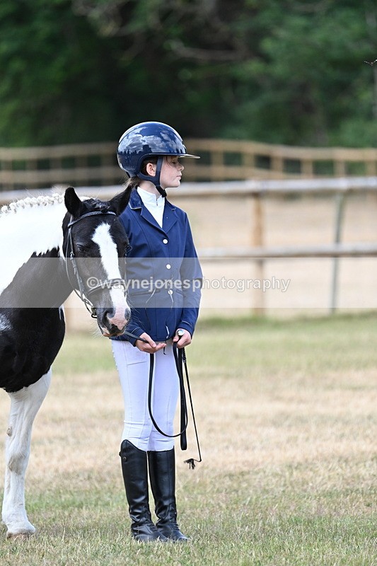 WJ7_1556 - Class 4 Prettiest Mare up to 14.2hh in hand
