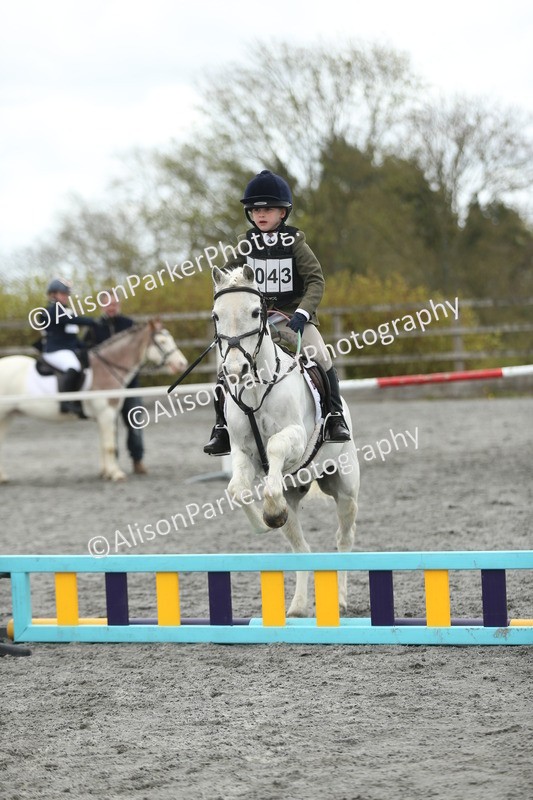20260412-0660 - Show Jumping