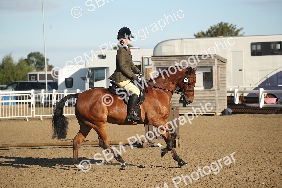 SBM_11555 - Class 502 - Riding Club Horse
