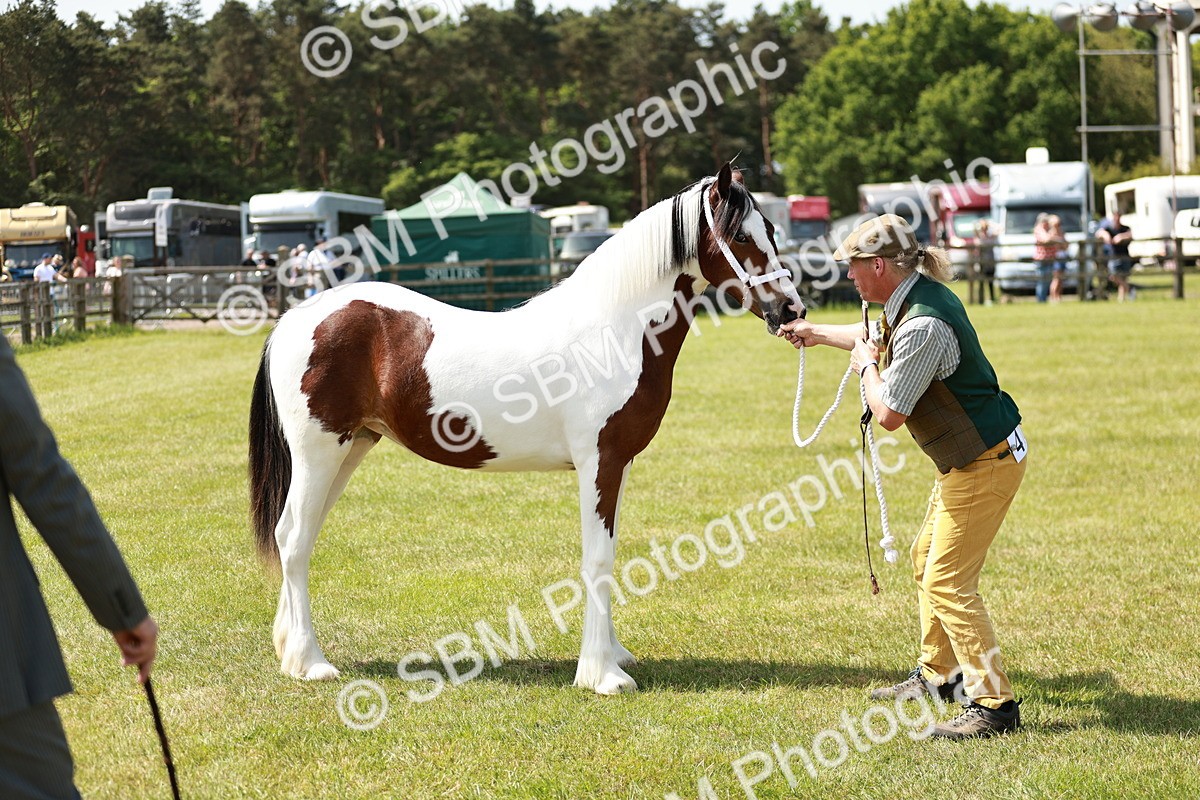 SBM_04180 - Class 39-40 - BSPA Coloured In Hand