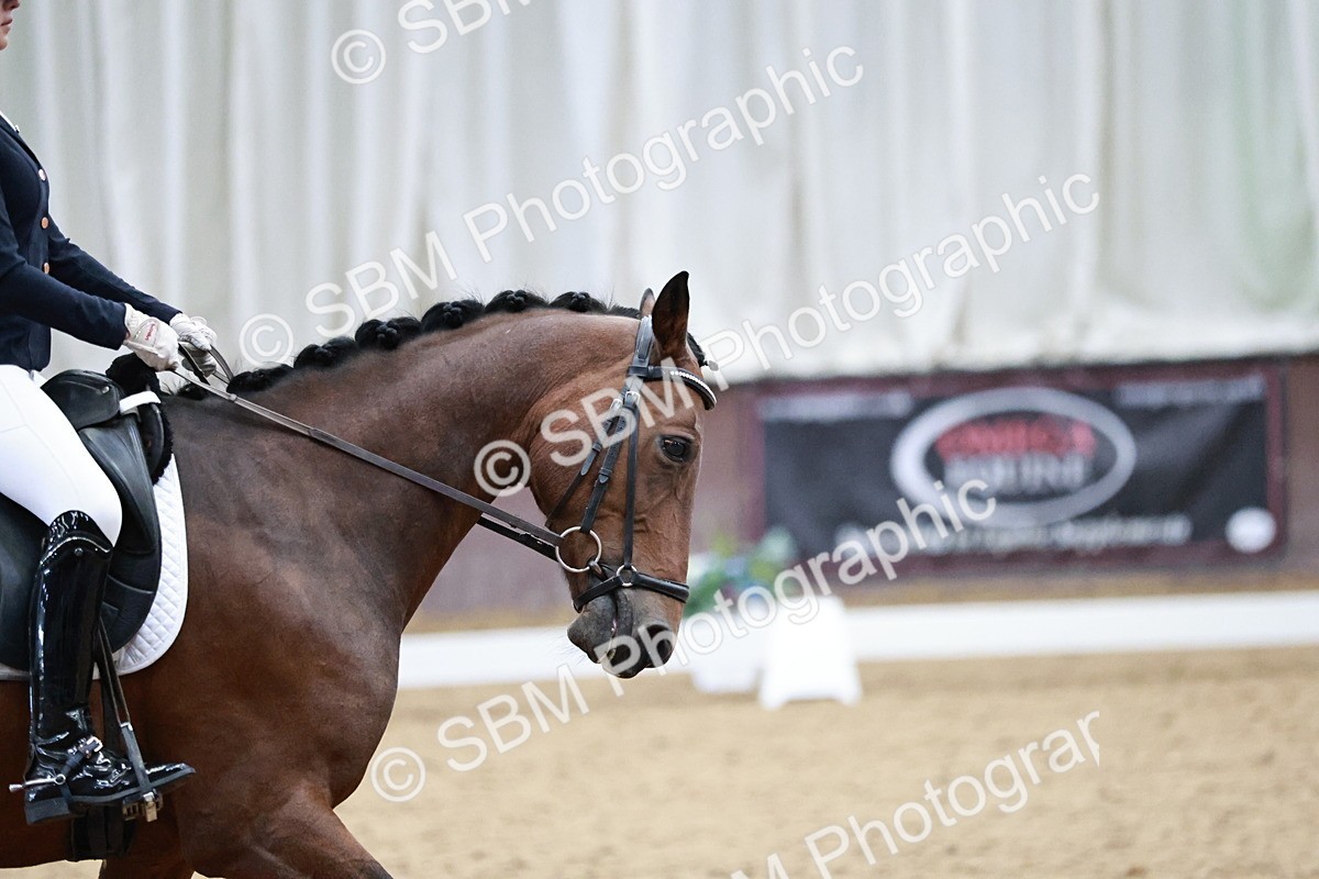 SBM_014322 - Class 7 - Ele FSM Bronze  13.24.14.04