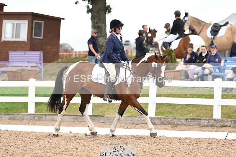 250705-175534-03247 - N3 Section BDNOV3 15.55 to 17.19