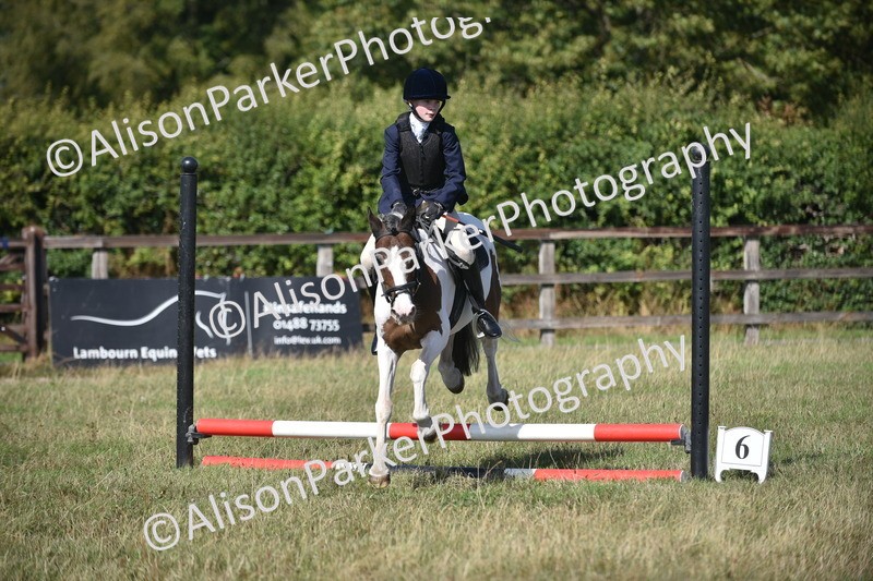 20260906-1384 - Class 8 - Hoof and Foot