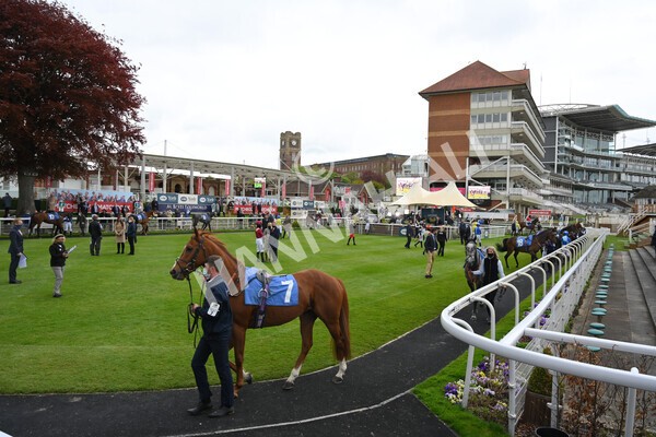 yr14052021r5-3 - Race 5 3.40pm The Jigsaw Sports Branding Handicap