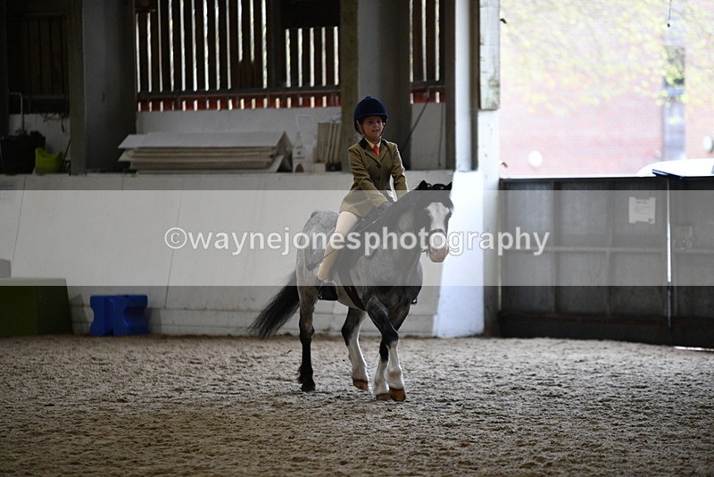 WJ5_6874 - Class 10 Childs Pony