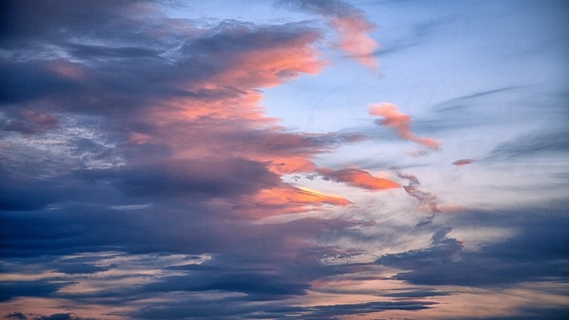 Cloud Phoenix_9989 - Spirit Element