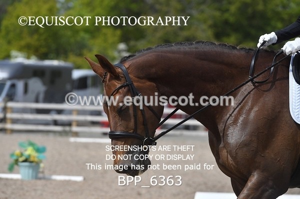 BPP_6363 - 33 N BAXTER