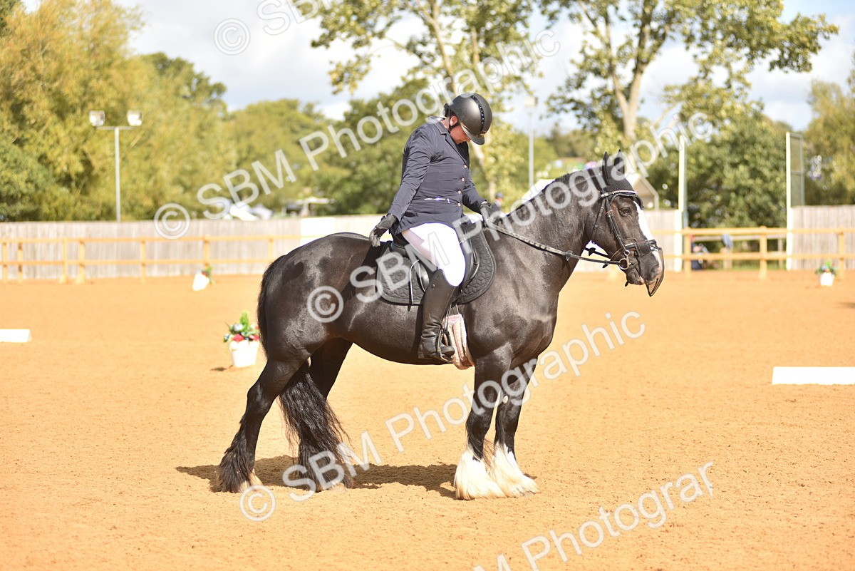 SBM_03277 - D4 - Small Tour Championship Intro 4