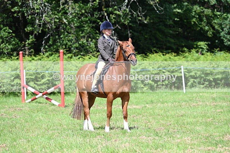 WJ7_1750 - Class 9 Pony Club Pony