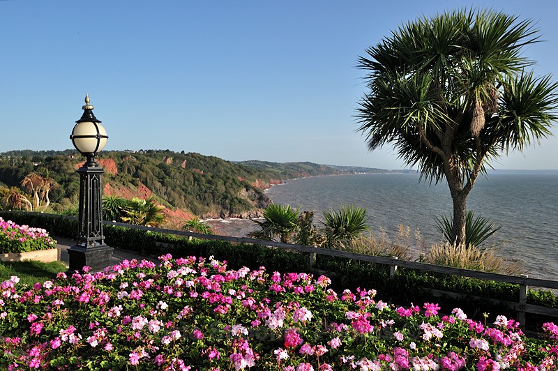 Summer Flowers at Babbacombe - Torquay See separate galleries for Cockington, Meadfoot and Anstey's Cove