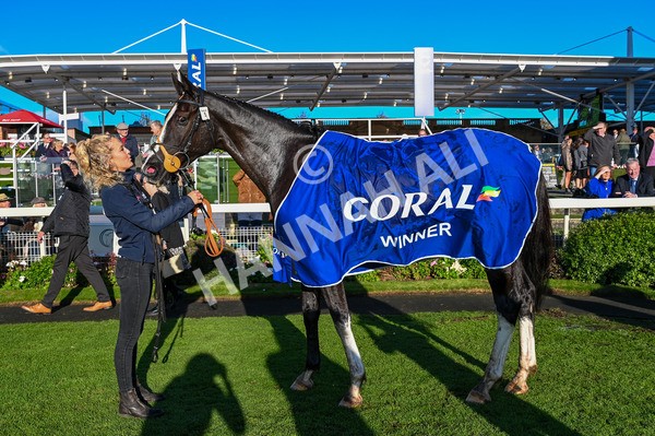 141023-Race 6-Punctuation-9317 - Race 6 4.10pm Coral Get Closer To The Action Handicap