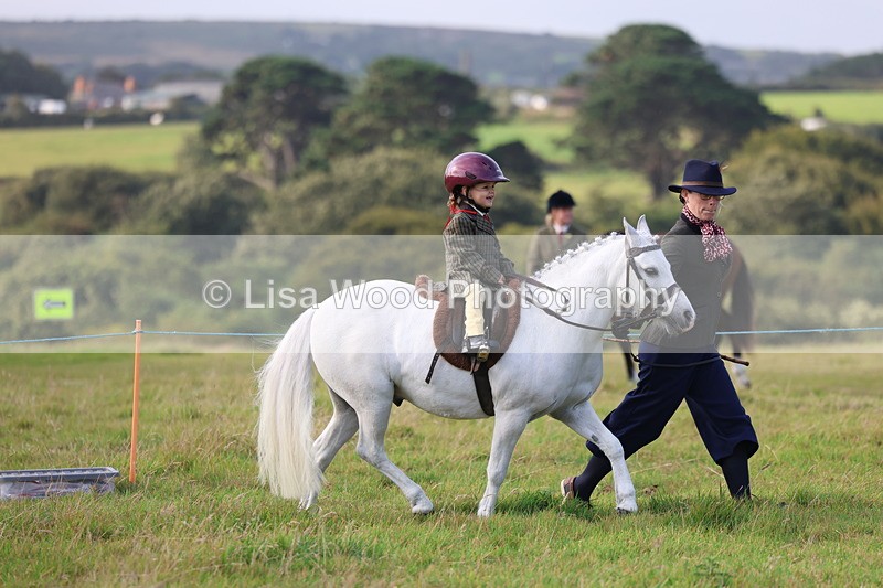 3E7A3340 - Class 2: Lead rein