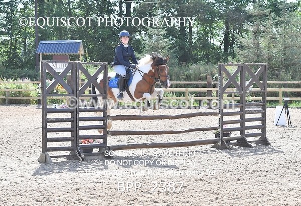 BPP_2387 - DERBY CLASS 7 - 80CM