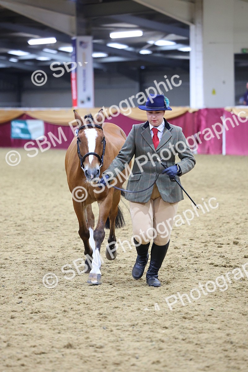 SBM_19671 - Class 901 - Supreme Final - IH Diamond