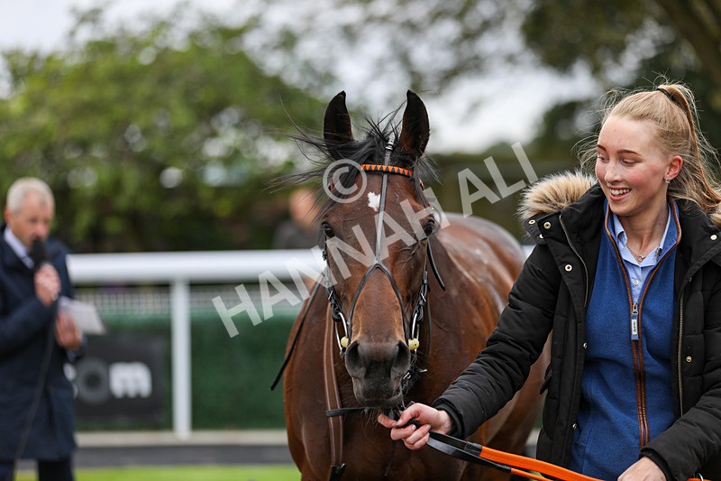 250824-Race 5-Lincoln Rockstar-9464 - Race 5