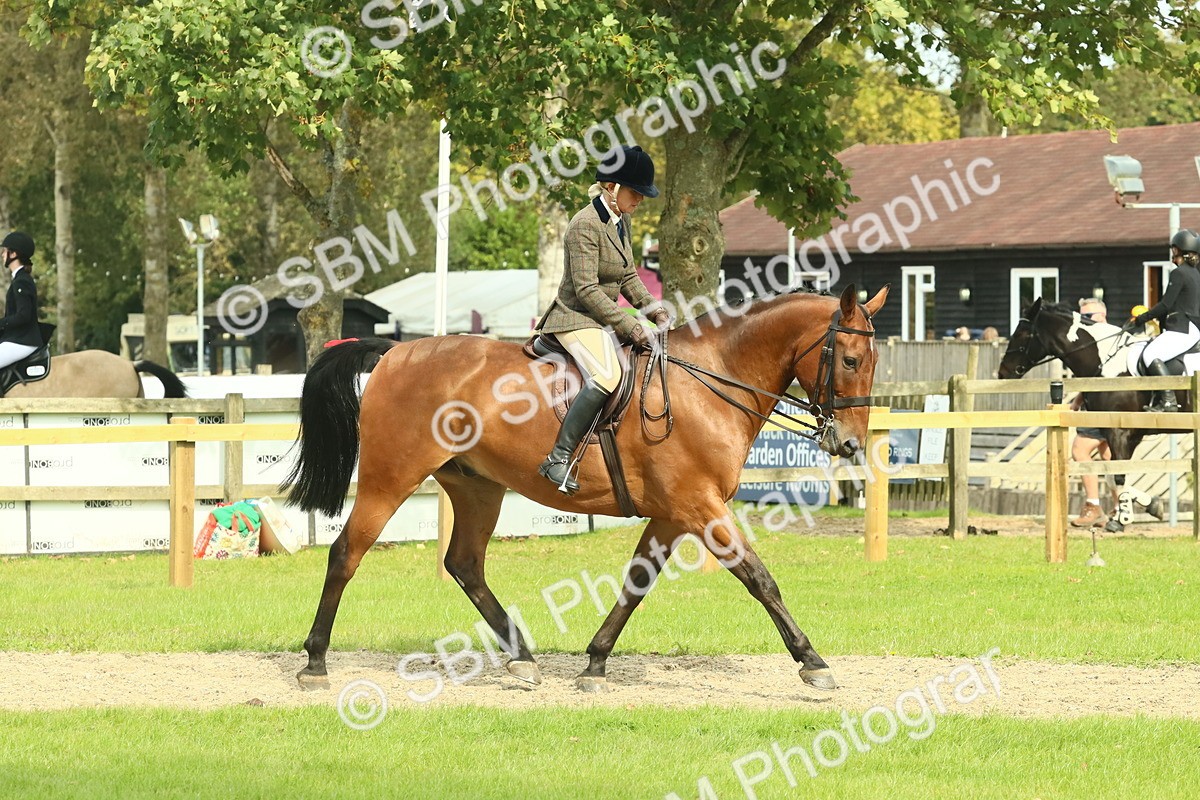 SBM_66707 - S34 - Rehabilitated Rescue Horse & Pony In Hand & Ridden