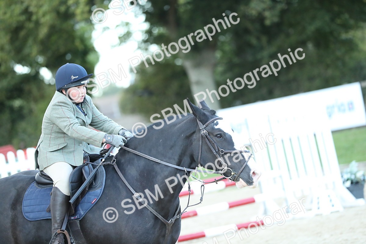 SBM_53701 - Supreme Championship 65cm 70cm