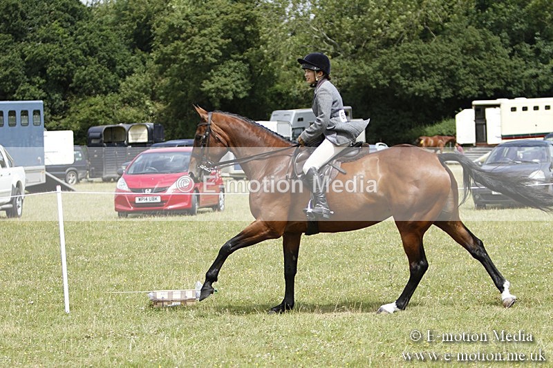 BVR160717-1820 - Ring 3 BVRC Show 16/07/17