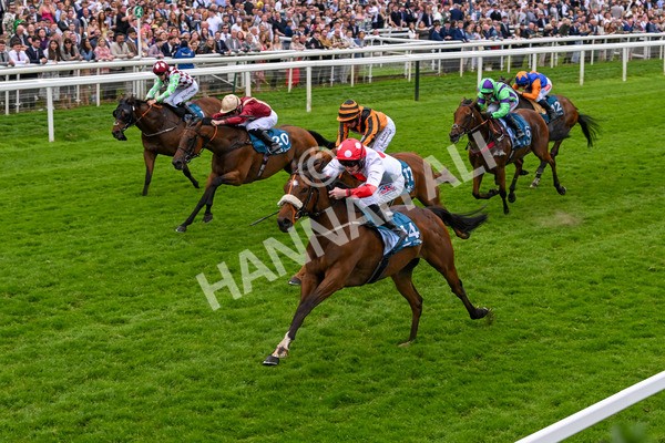 250524-Race 7-Feel The Need-4386 - Race 7 5.05pm Alf Duffield Memorial Handicap