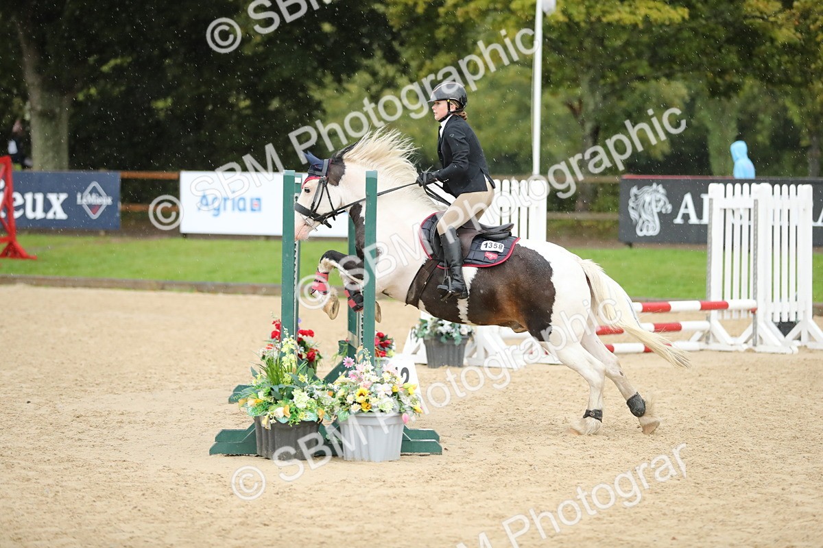 SBM_34367 - J60 Clear Round 50cm