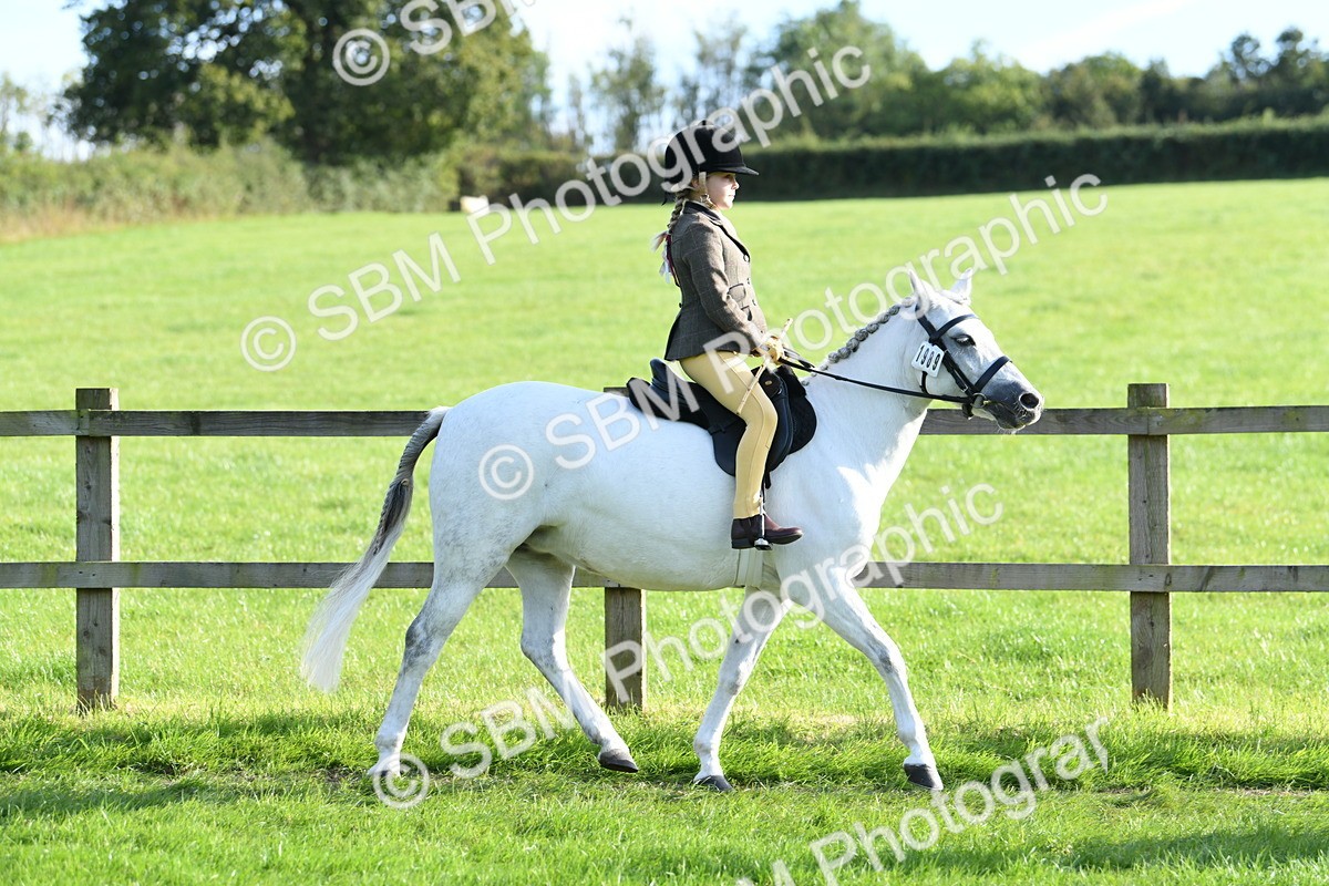 SBM_52383 - S22 - 1st Ridden Show & Show Hunter Pony