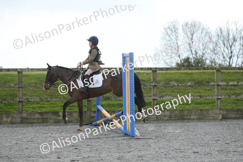 20260412-0736 - Show Jumping