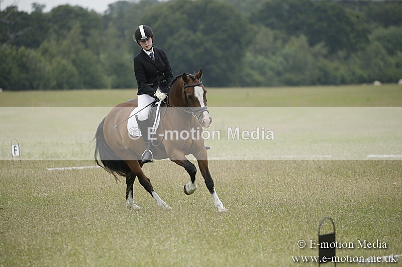 B230619-0671 - Bourne Valley Riding Club Summer Show 23/06/19