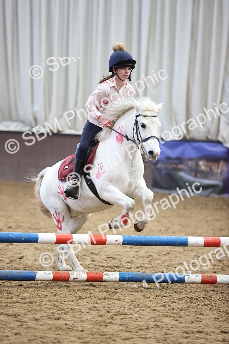 SBM_001421 - Class 3 - Horse & Hound 60cm