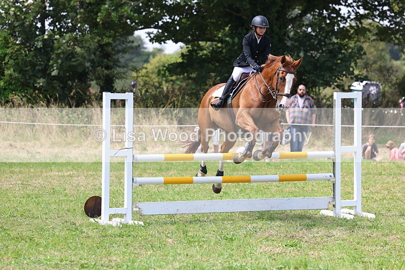3E7A3008 - Class 7: Senior British Novice/90cm open