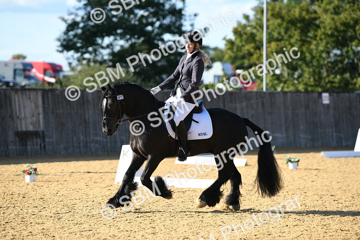 SBM_28466 - D16 - Small Tour Championship - Novice 28