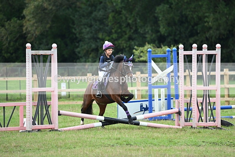 WJ6_0195 - 40cm Time 10:00 to 10:28
