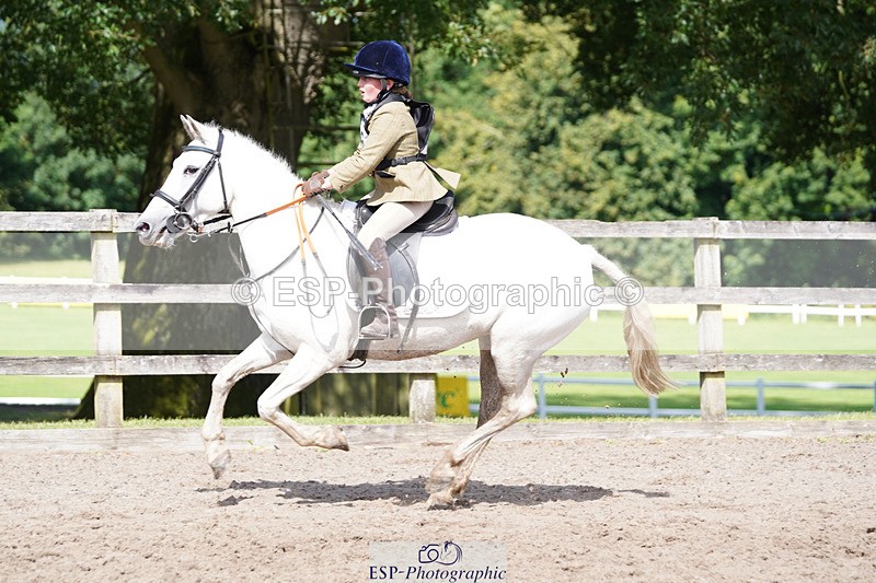 240824X-145448-28574 - 80cm Round 1 14.00 to 15.30