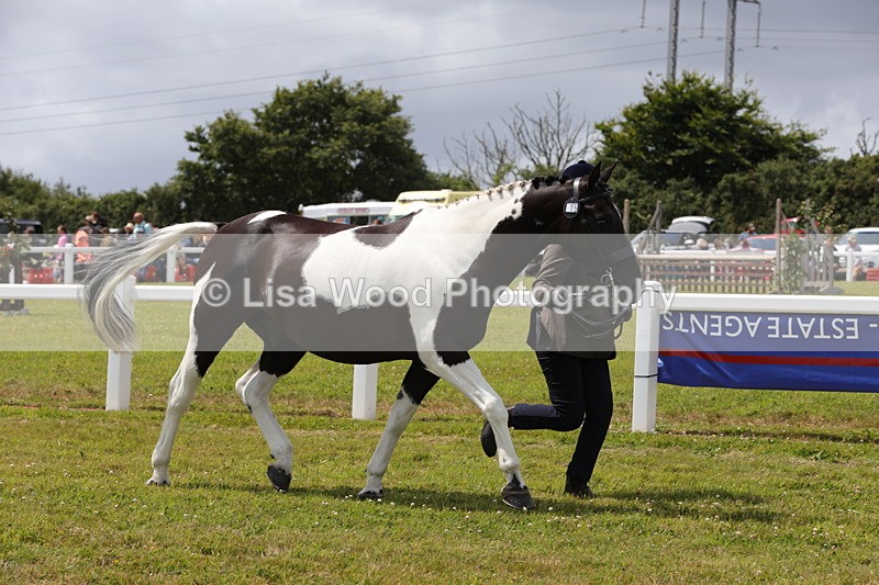 1X9A4729 - Class 35: Veteran In Hand