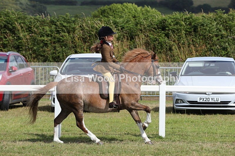 1X9A5707 - Class 40: NPS Welsh A & B