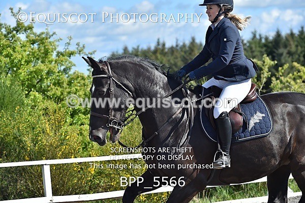 BPP_5566 - SAT CLASS 31 NEWCOMERS/1.10M