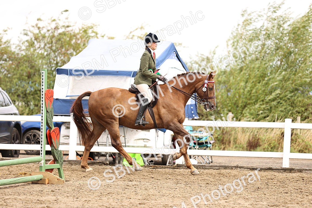 SBM_00707 - Class 53 - Ridden Competition Horse Pony