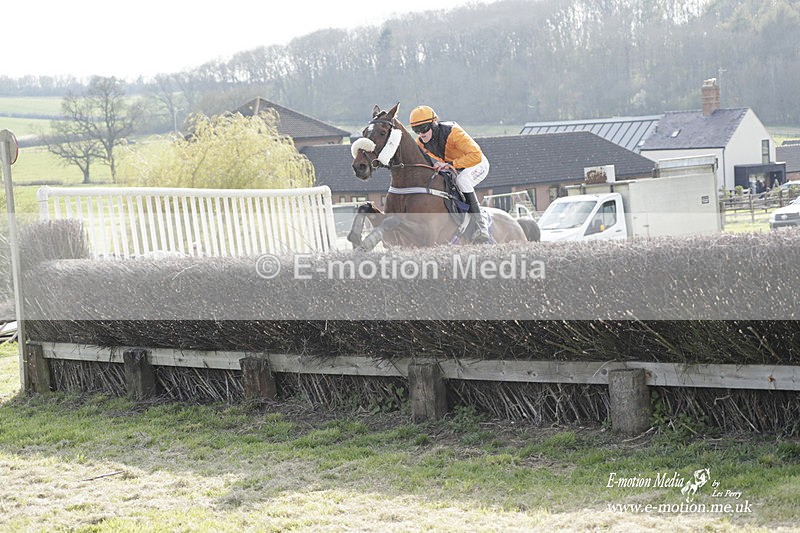 PtP 080423 835 - Dingley Races The Woodland Pytchley Hunt PtP 08/04/23