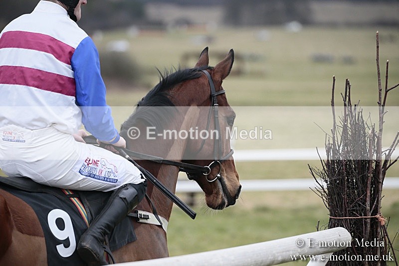 PtP 180218 354 - Combined Services Point-to-Point Larkhill 18/02/18