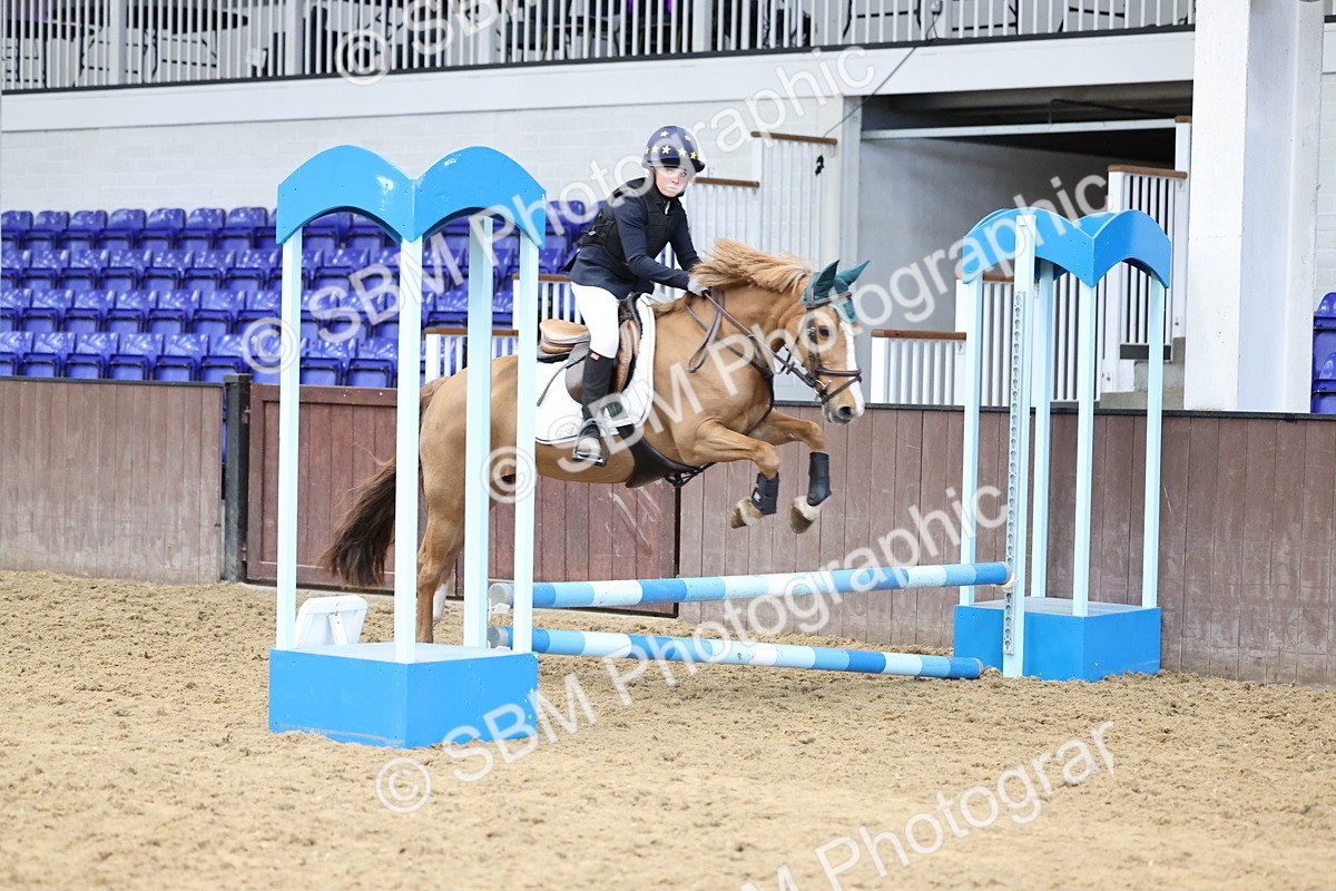 SBM_007396 - Class 2 - 50cm showjumping