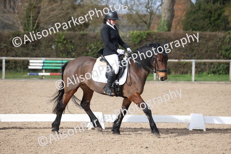 20260301-0851 - Class 5 - Elementary 4